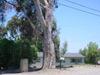 878 Garfield, El Cajon CA 92020