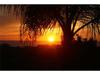 1607 Corte Orchidia, Carlsbad CA 92011